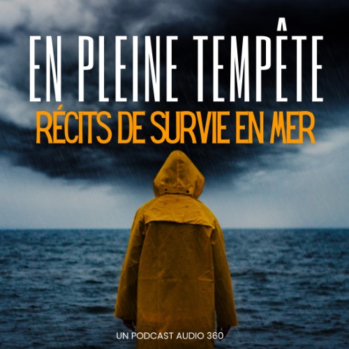 https://www.audio360.fr/images/visuelsdemo/fr/En pleine tempête.jpg